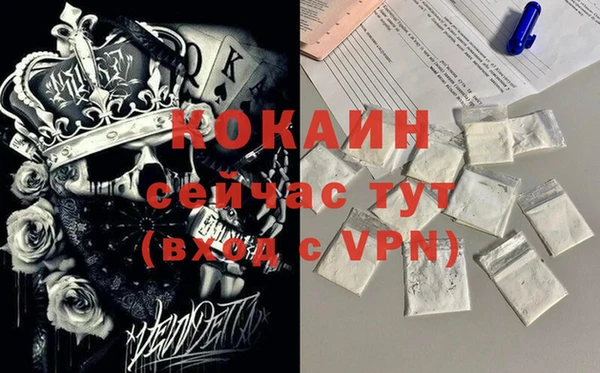 гидра Аркадак