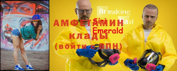 гидра Арсеньев