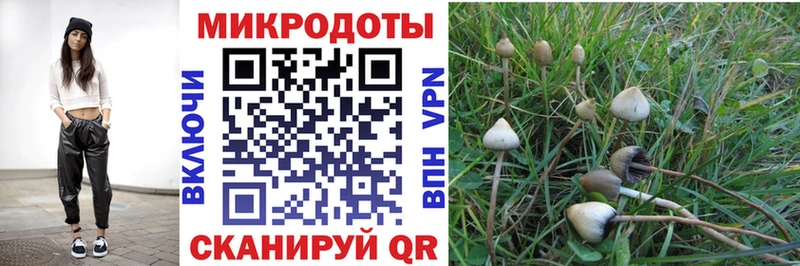 площадка Telegram  Белозерск  Галлюциногенные грибы Magic Shrooms  omg ССЫЛКА 